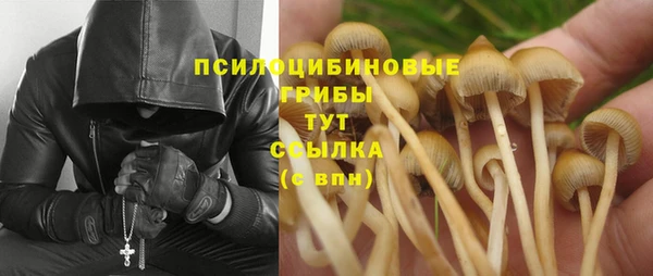 2c-b Ельня
