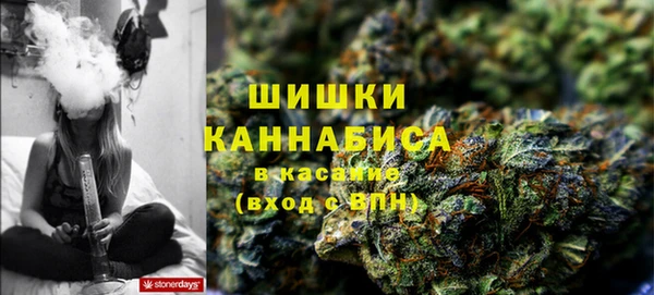 спайс Елабуга