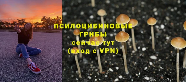 2c-b Ельня