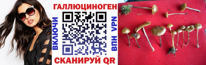 Псилоцибиновые грибы Magic Shrooms  Купить  Избербаш 